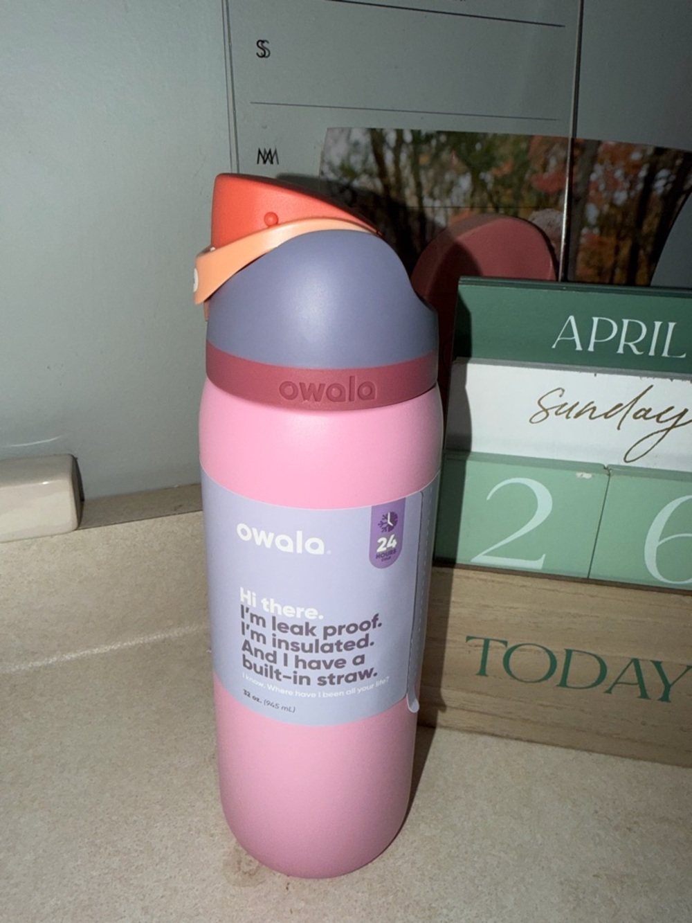 Owala 32oz FreeSip Stainless Steel Water Bottle